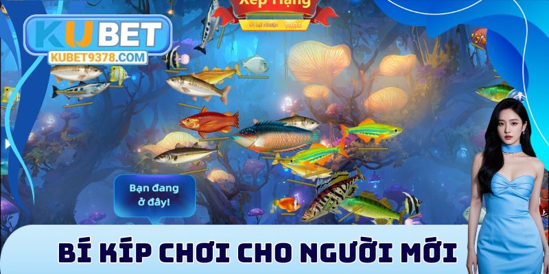 Bí kíp chơi cho người mới